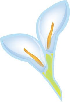 <a href='/product/product-0001,0002.shtml' class='keys' title='點擊查看關于不干膠印刷機的相關信息' target='_blank'>不干膠印刷機</a>